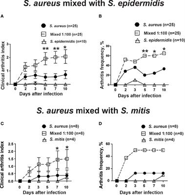 Commensal Bacteria Augment Staphylococcus aureus septic Arthritis in a Dose-Dependent Manner